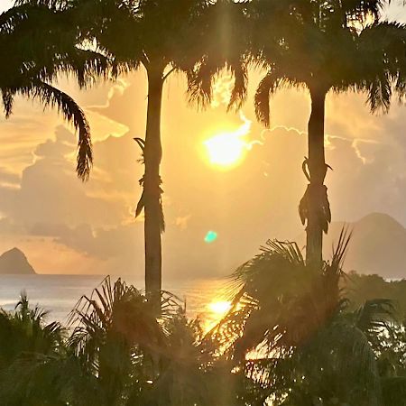 Superbe Studio Martinique Vue Rocher Du Diamant 상트루스 외부 사진